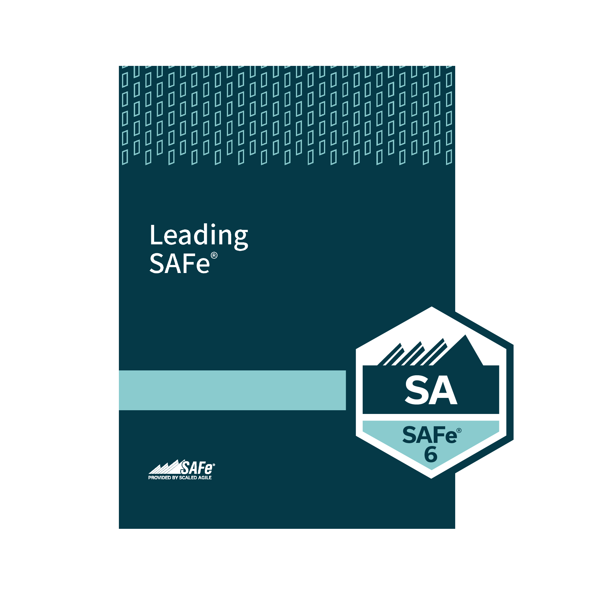 Leading SAFe Agilist Certification